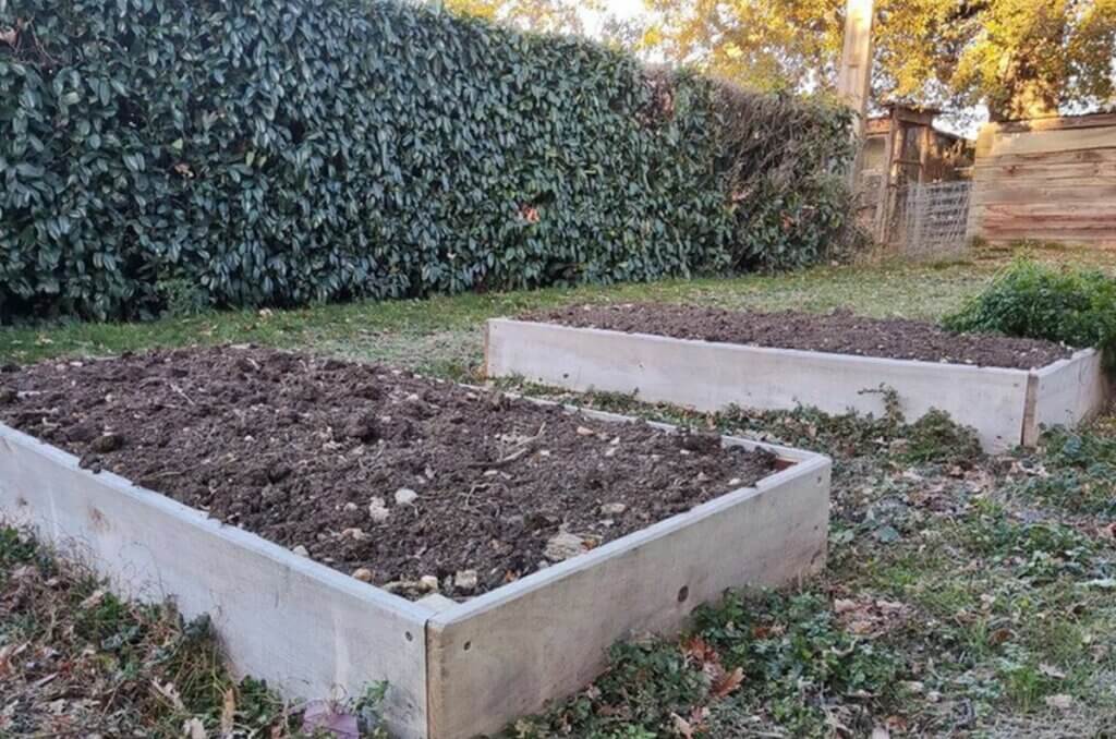 carré potager jardin biz